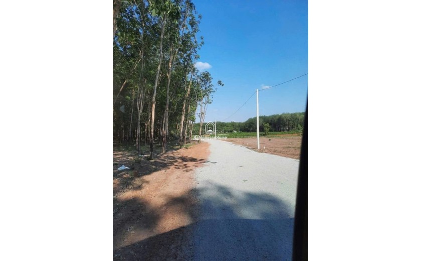 7370M2 ĐẤT  QUỐC LỘ 14,  MINH HƯNG ,TÂN HIỆP, HỚN QUẢN, BÌNH PHƯỚC - 4.8 TỶ - SỔ ĐỎ